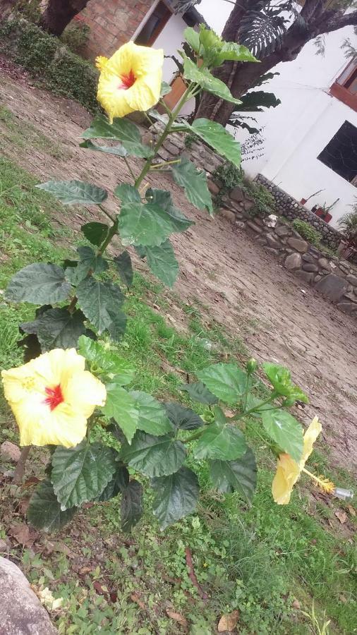 Residencial Valle Sagrado-Vilcabamba Eksteriør bilde